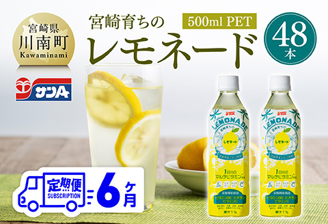 【6ヶ月 定期便 】サンA宮崎育ちのレモネード500mlＰＥＴ　24本入り×2ケース【 全6回 飲料 栄養機能食品 レモン 檸檬 マルチビタミン配合 セット ジュース PET 長期保存 備蓄 送料無料】[C03016t6]