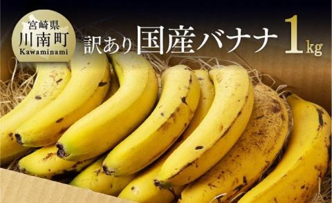 【訳あり】国産バナナ１ｋｇ（10本～13本程度）【国産 バナナ 無農薬 フルーツ 果物 デザート 朝食 スムージー 川南町】[F5802]