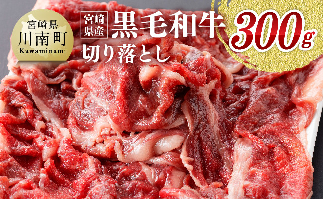 宮崎県産黒毛和牛 切り落とし 300g 【 肉 牛肉 黒毛和牛 精肉 】 [G0510]