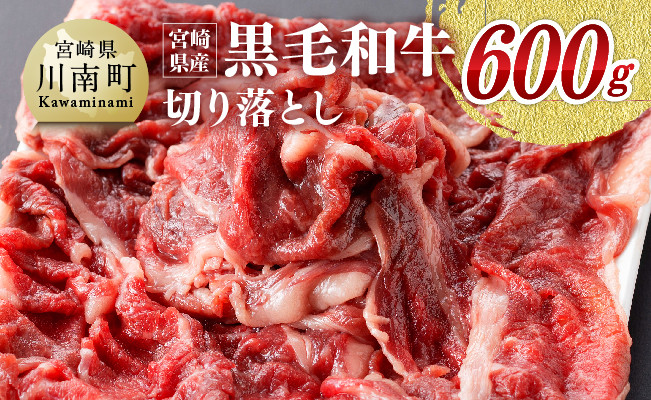 宮崎県産黒毛和牛 切り落とし 600g 【 肉 牛肉 黒毛和牛 精肉 】 [G0511]