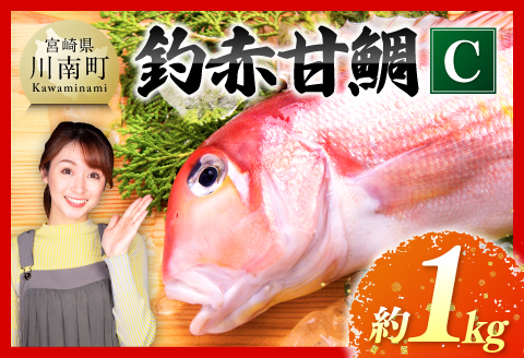 『釣赤甘鯛 C』_鮮魚さかな九州宮崎川南町新鮮魚介海の幸魚介類たい送料無料魚介 [D04410]