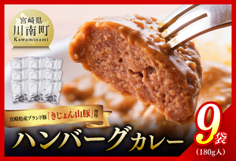 きじょん山豚 ハンバーグカレー 9食分(180g×9袋)　豚肉[G7506]
