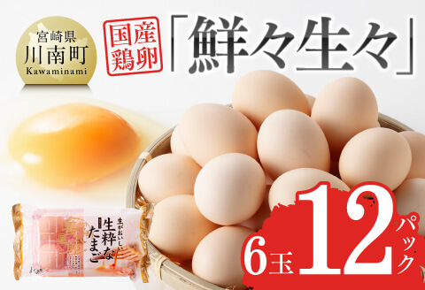 鮮々生々セット【卵 たまご 新鮮 生卵 タマゴ おうち時間】[H1403]