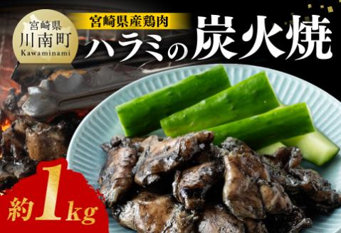[令和6年6月発送]宮崎県産 鶏肉 ハラミ の 炭火焼 1kg 鶏肉[E7211r606]