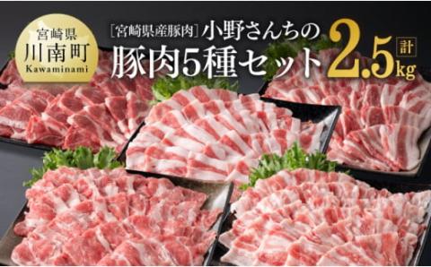 宮崎県産豚肉 小野さんちの"豚肉5種セット" 2.5kg 豚肉[E10506]