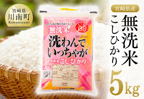 [令和6年産]宮崎県産無洗米こしひかり5kg [ 米 お米 白米 精米 国産 宮崎県産 コシヒカリ ][D01601]