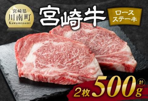 宮崎牛ロースステーキ2枚500g 牛肉 宮崎牛 黒毛和牛 焼肉[E11106]