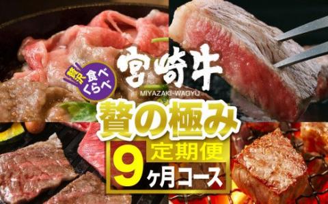 宮崎牛 食べ比べ 贅の極み 9ヶ月コース 牛肉[G7423]