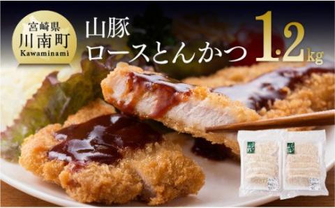 パン粉付きで揚げるだけ!きじょん山豚 ロースとんかつ 10枚 (1個120g) 豚肉[G7505]