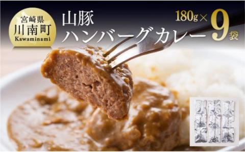 きじょん山豚 ハンバーグカレー 9食分(180g×9袋) 豚肉[G7506]