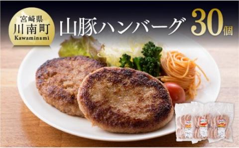 きじょん山豚 ハンバーグ 30個 豚肉[G7504]