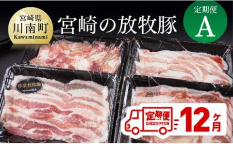 [定期便]宮崎の放牧豚 定期便A 12ヶ月定期便 豚肉[G8102]