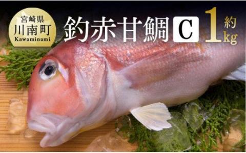 『釣赤甘鯛 C』_鮮魚さかな九州宮崎川南町新鮮魚介海の幸魚介類たい送料無料魚介 [G4407]