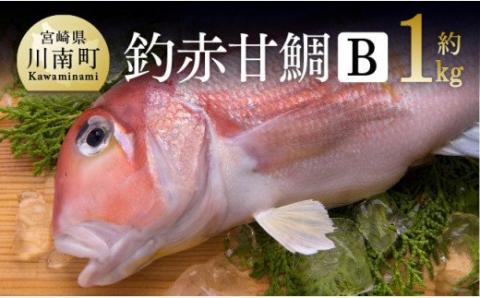 『釣赤甘鯛 B』 鮮魚[G4406]