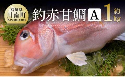 『釣赤甘鯛 A』 鮮魚[G4405]