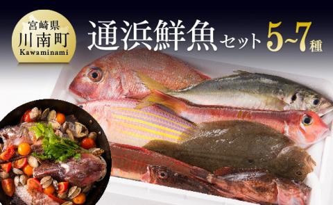 『日向灘海の幸』通浜鮮魚セット 鮮魚[H1702]