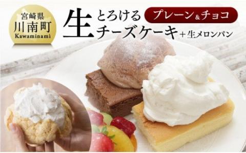 『押川春月堂本店』とろける生チーズケーキセット(プレーン&チョコ)[スイーツ ケーキ チーズケーキ 洋菓子 おまけつき][H2702]