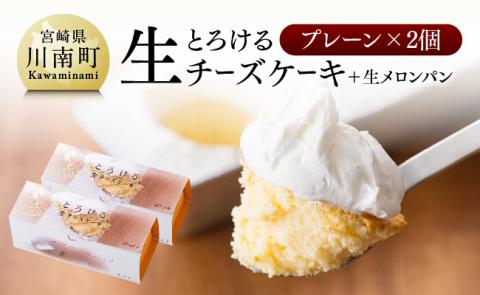 『押川春月堂本店』とろける生チーズケーキ(プレーン2個) スイーツケーキチーズケーキ洋菓子おまけつきケーキ [H2703]