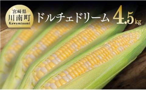 [令和7年発送]宮崎県産とうもろこし 大山さんちのスイートコーン「ドルチェドリーム」4.5kg [とうもろこし スイートコーン 野菜 ][D07101]