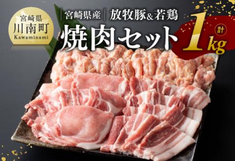 宮崎県産 「 放牧豚 & 若鶏 」焼肉 セット 1kg 豚肉[E8103]
