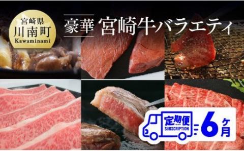 [定期便] 肉質等級4等級以上 豪華! 宮崎牛 バラエティ6ヶ月コース 牛肉[G7426]