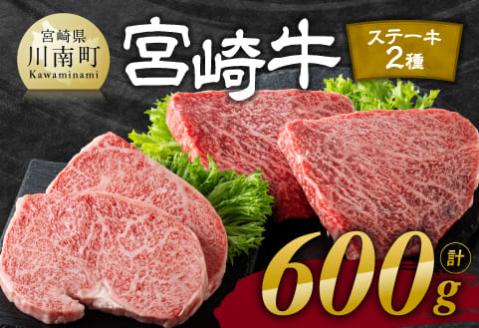 宮崎牛ステーキ 2種 600g 牛肉[E11118]