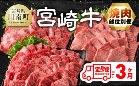 [3ヶ月定期便] 宮崎牛焼肉 部位別便 牛肉[E11126]