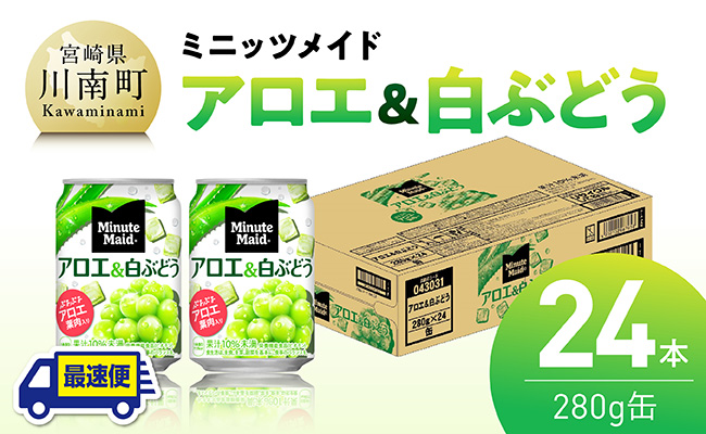 [最速便]コカ・コーラ ミニッツメイド「アロエ&白ぶどう」280g缶 24本(24本×1ケース) [ 飲料 アロエ 白ぶどう 果汁 長期保存 ] [C11131-ss]
