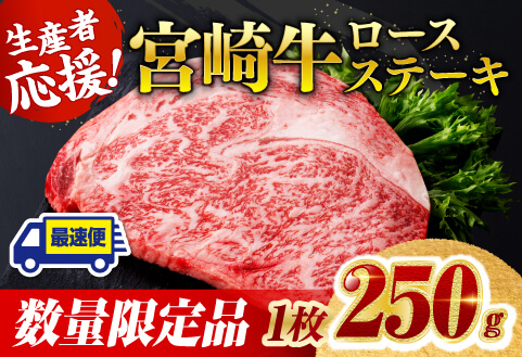 [数量限定]宮崎牛ロースステーキ1枚 (250g) 肉 牛肉 宮崎牛 [D0601]