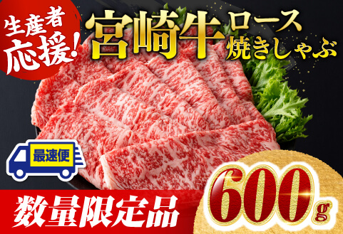 [数量限定]宮崎牛ロース焼きしゃぶ600g 牛肉 牛[D0606]