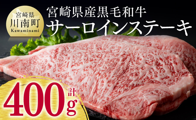 宮崎県産黒毛和牛サーロインステーキ 肉 牛肉[D0623]
