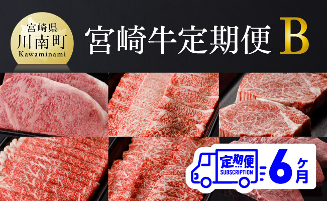 [6ヶ月定期便] 宮崎牛定期便B 肉 牛 牛肉 宮崎牛 牛肉ステーキ 牛肉スライス 牛肉焼肉 牛肉定期便 牛肉セット BBQ牛肉 送料無料牛肉 [D0677t6]