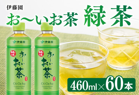 お～いお茶 緑茶 460ml×60本 PET 【 飲料 飲み物 ソフトドリンク お茶 ペットボトル スリム スマートボトル 備蓄 長期保存 送料無料 】 [C07324]