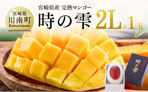 令和6年産 宮崎県産完熟マンゴー「時の雫」2L×1玉 みやざきマンゴー