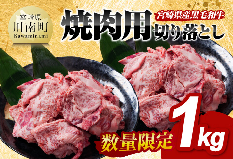 【数量限定】宮崎県産黒毛和牛焼肉用切り落とし1kg 【 牛肉 国産 宮崎県産 宮崎牛 BBQ 焼肉用牛肉 国産牛肉 九州産牛肉 宮崎県産牛肉 送料無料 】[D11304]