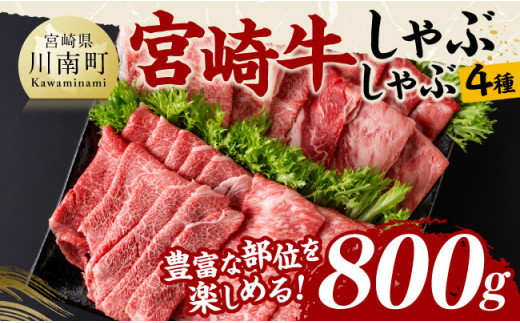 宮崎牛しゃぶしゃぶ食べ比べ4種盛 合計800ｇ【 肉 牛肉 国産 黒毛和牛 宮崎牛 すき焼き しゃぶしゃぶ 焼きしゃぶ 食べ比べ 宮崎県 川南町 】[D11408]