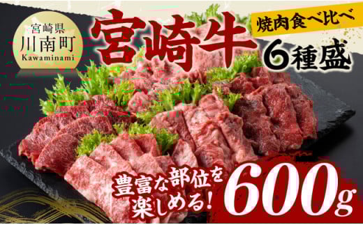 宮崎牛 焼肉 食べ比べ 6種盛 600g 【 肉 牛肉 国産 宮崎県産 黒毛和牛 和牛 焼肉 バーベキュー 】[D11417]