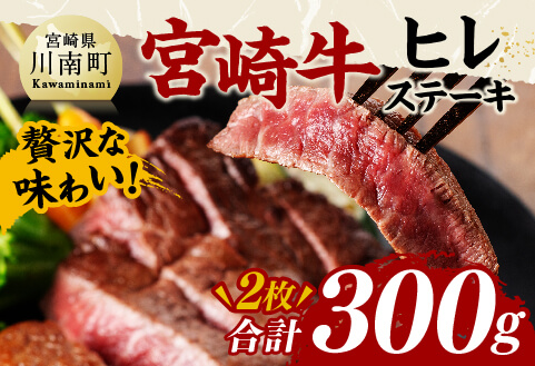 宮崎牛 ヒレステーキ 300g 【 肉 牛肉 国産 宮崎県産 黒毛和牛 ヒレステーキ 】[D11422]