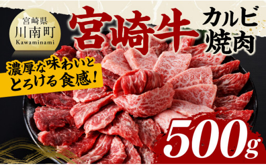 宮崎牛 カルビ焼肉 500g 【 肉 牛肉 国産 宮崎県産 黒毛和牛 カルビ 焼肉 】[C11410]