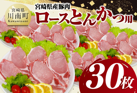 宮崎県産豚肉　ロースとんかつ用（100g以上×30枚） 【 豚肉 豚 肉 宮崎県産 ロースカツ 送料無料 】[C11620]