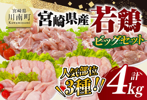 【 小分け 】 宮崎県産 若鶏 4kg ビッグ セット 【 もも むね ささみ セット 鶏肉 とり肉 ごはん 料理 大容量 】[D11613]