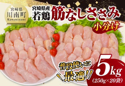 宮崎県産若鶏 筋なしささみ5kg(250g×20) [ 鶏肉 とり肉 ささみ 真空パック ][D11619]