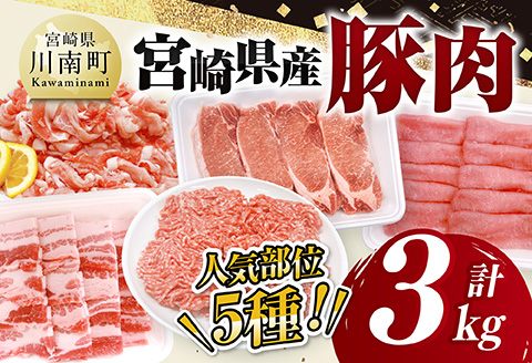 宮崎県産豚肉5種　3kg 【 豚肉 ぶた肉 肉 ロース バラ 切り落とし ミンチ 焼肉用 豚肉セット 】[C11627]
