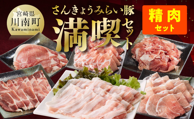 [令和6年11月発送][いろんな料理にアレンジできちゃう満喫コース](精肉)みらい豚満喫セット 肉豚豚肉国産豚肉九州産豚肉宮崎県産豚肉バラ肩ロースウデモモ焼肉[E0102br611]