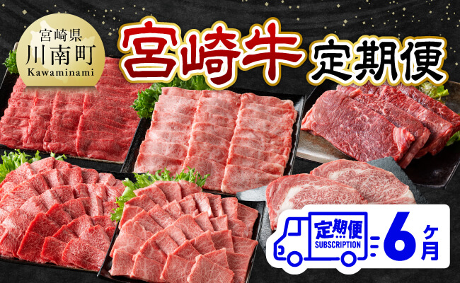 【6ヶ月定期便】 宮崎牛定期便　牛肉[C11122t6]