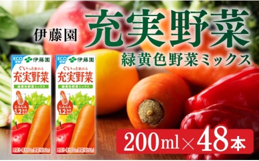 伊藤園 充実野菜 緑黄色野菜ミックス（紙パック）200ml×48本 【伊藤園 飲料類 野菜ジュース 野菜 ジュース ミックスジュース 飲みもの】[E7347]