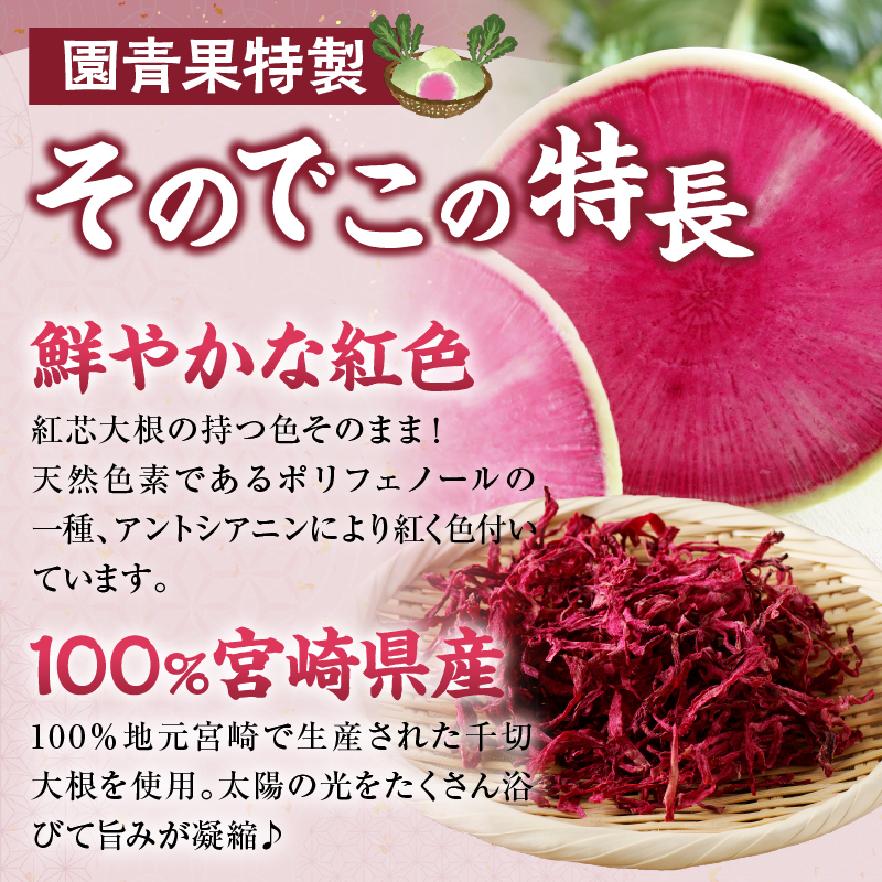 【2週間以内発送】＼ポスト投函／≪宮崎県産≫切干大根(紅芯大根-そのでこ-)計1袋_T003-010【野菜 加工品 国産 人気 ギフト 食品 旬 副菜 干物 おかず 産地直送 送料無料 プレゼント】