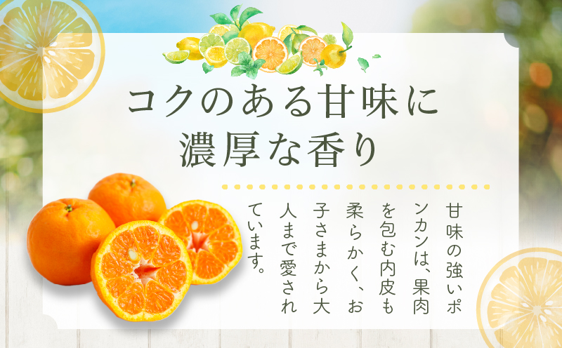 先行予約≪期間限定≫都農町産「ポンカン(Mサイズ)」 約5kg_T008-005【フルーツ 果物 柑橘 国産 人気 ギフト 食品 果実 デザート 贈り物 お土産 送料無料 プレゼント】