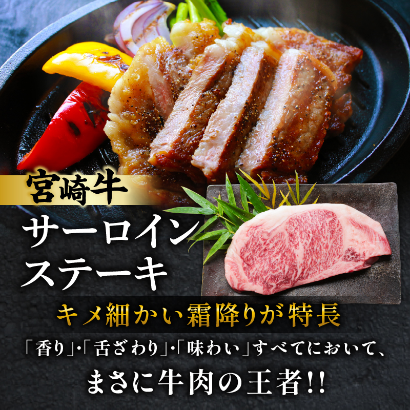 宮崎牛サーロインステーキ&肩(ウデ)すき焼き用セット合計500g_T009-0032【肉 牛 牛肉 焼肉 国産 人気 ギフト 食品 おかず お肉 焼き肉 お土産 贈り物 送料無料 プレゼント】