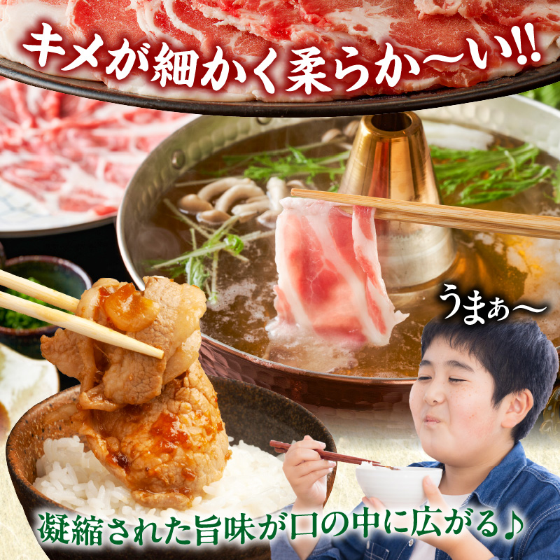 宮崎県産豚ローススライス計1.8kg_T009-0062【肉 豚 豚肉 おかず 国産 人気 ギフト 食品 お肉 しゃぶしゃぶ 贈り物 お土産 送料無料 プレゼント】